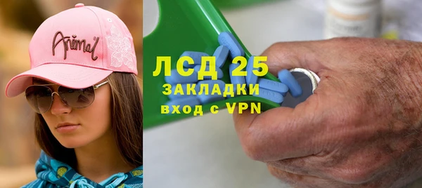 крисы Аркадак