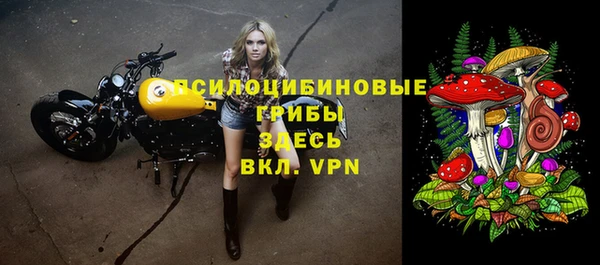 крисы Аркадак