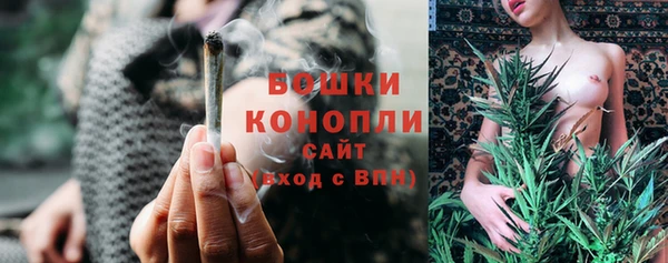 PSILOCYBIN Алексеевка
