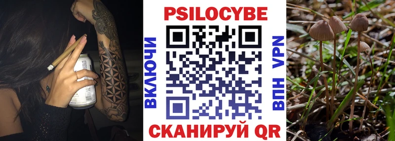 Псилоцибиновые грибы Cubensis  Снежногорск 